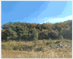  2024Ÿ��1745  ���ð��