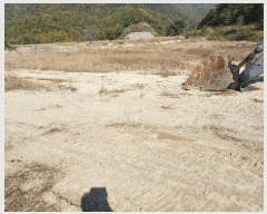  2024Ÿ��1745  ���ð��