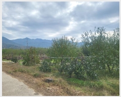  2024Ÿ��1783 ��� ���ֽ� ���̵� 84-4       ����(������)���