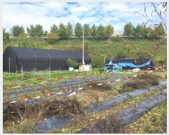  2024Ÿ��1783 ��� ���ֽ� ���̵� 84-4       ����(������)���