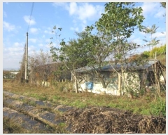  2024Ÿ��1783 ��� ���ֽ� ���̵� 84-4       ����(������)���