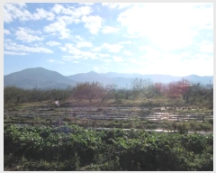  2024Ÿ��1783 ��� ���ֽ� ���̵� 84-4       ����(������)���