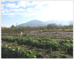  2024Ÿ��1783 ��� ���ֽ� ���̵� 84-4       ����(������)���