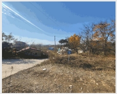  2024Ÿ��1820 ��� ����� ���ŵ� 393       ����(������)���