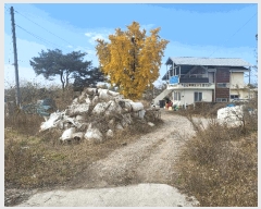  2024Ÿ��1820 ��� ����� ���ŵ� 393       ����(������)���