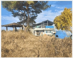  2024Ÿ��1820 ��� ����� ���ŵ� 393       ����(������)���