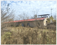  2024Ÿ��1820 ��� ����� ���ŵ� 393       ����(������)���