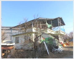  2024Ÿ��1820 ��� ����� ���ŵ� 393       ����(������)���