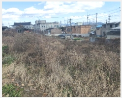  2024Ÿ1882  õ õ ɸ 736-9      (Ӿ)