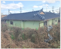  2024Ÿ1882  õ õ ɸ 736-9      (Ӿ)