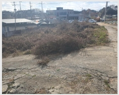  2024Ÿ1882  õ õ ɸ 736-9      (Ӿ)