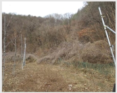  2024Ÿ��1967 ��� ����� ������ ��õ�� 655      ����(��1)���