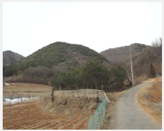  2024Ÿ��1967 ��� ����� ������ ��õ�� 655      ����(��1)���