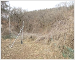  2024Ÿ��1967 ��� ����� ������ ��õ�� 655      ����(��1)���