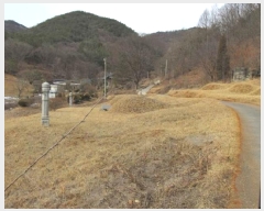  2024Ÿ��1967 ��� ����� ������ ��õ�� 655      ����(��1)���