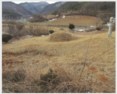  2024Ÿ��1967 ��� ����� ������ ��õ�� 655      ����(��1)���