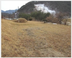  2024Ÿ��1967 ��� ����� ������ ��õ�� 655      ����(��1)���