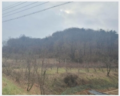  2024Ÿ��1981  �Ӿ߰��