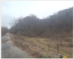  2024Ÿ��1981  �Ӿ߰��