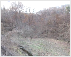  2024Ÿ��1981  �Ӿ߰��