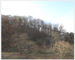  2024Ÿ��1981  �Ӿ߰��