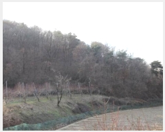  2024Ÿ��1981  �Ӿ߰��