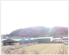  2024Ÿ��1981  �Ӿ߰��