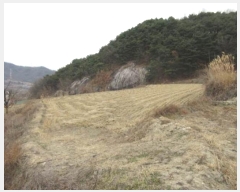  2024Ÿ2007  ֽ  ſ 781      ()