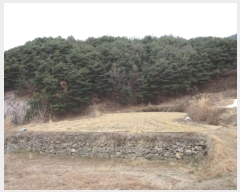  2024Ÿ2007  ֽ  ſ 781      ()