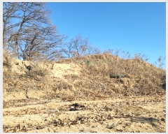  2024Ÿ2045  õ õ ɸ 472-10      (Ӿ)