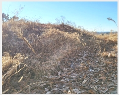  2024Ÿ2045  õ õ ɸ 472-10      (Ӿ)