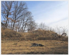  2024Ÿ2045  õ õ ɸ 472-10      (Ӿ)