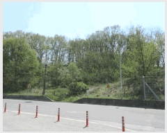  2024Ÿ��2069 ��� ��õ�� ��õ�� ������ 303-2      ����(�Ӿ�)���