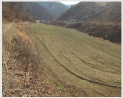  2024Ÿ��2083 ��� ���ֽ� ȭ���� �ߴ��� 42      ����(������)���