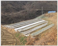  2024Ÿ��2083 ��� ���ֽ� ȭ���� �ߴ��� 42      ����(������)���