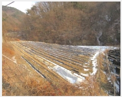  2024Ÿ��2083  ���������