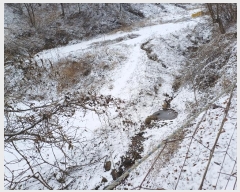  2024Ÿ��2083 ��� ���ֽ� ȭ���� �ߴ��� 42      ����(������)���