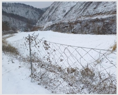  2024Ÿ��2083 ��� ���ֽ� ȭ���� �ߴ��� 42      ����(������)���