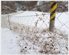  2024Ÿ��2083 ��� ���ֽ� ȭ���� �ߴ��� 42      ����(������)���