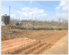  2024Ÿ70567  ֽ ܳ  262-1      (1)