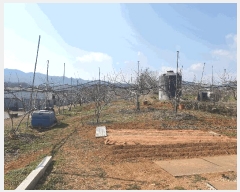  2024Ÿ70567  ֽ ܳ  262-1      (1)