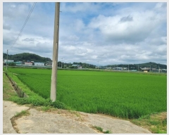  2024Ÿ71768  ֽ  ϸ 621-3      ()