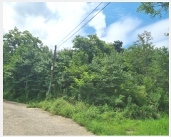  2024Ÿ71768  ֽ  ϸ 621-3      ()