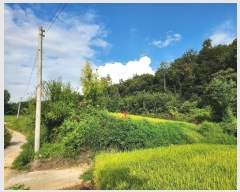  2024Ÿ72167  ֽ ߵ žϸ 1056      ()