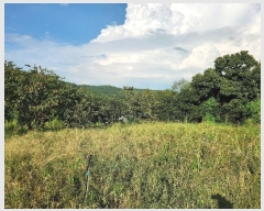  2024Ÿ72167  ֽ ߵ žϸ 1056      ()