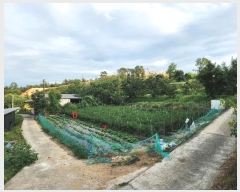  2024Ÿ72167  ֽ ߵ žϸ 1056      ()