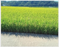  2024Ÿ72228   â 58-67       ()