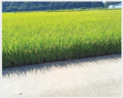  2024Ÿ72228   â 58-67       ()