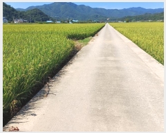  2024Ÿ72228   â 58-67       ()