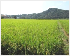  2024Ÿ72228   â 58-67       ()